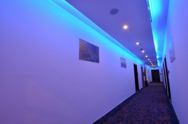 Rozaio Hotel image 12